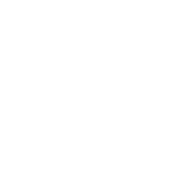 google icon